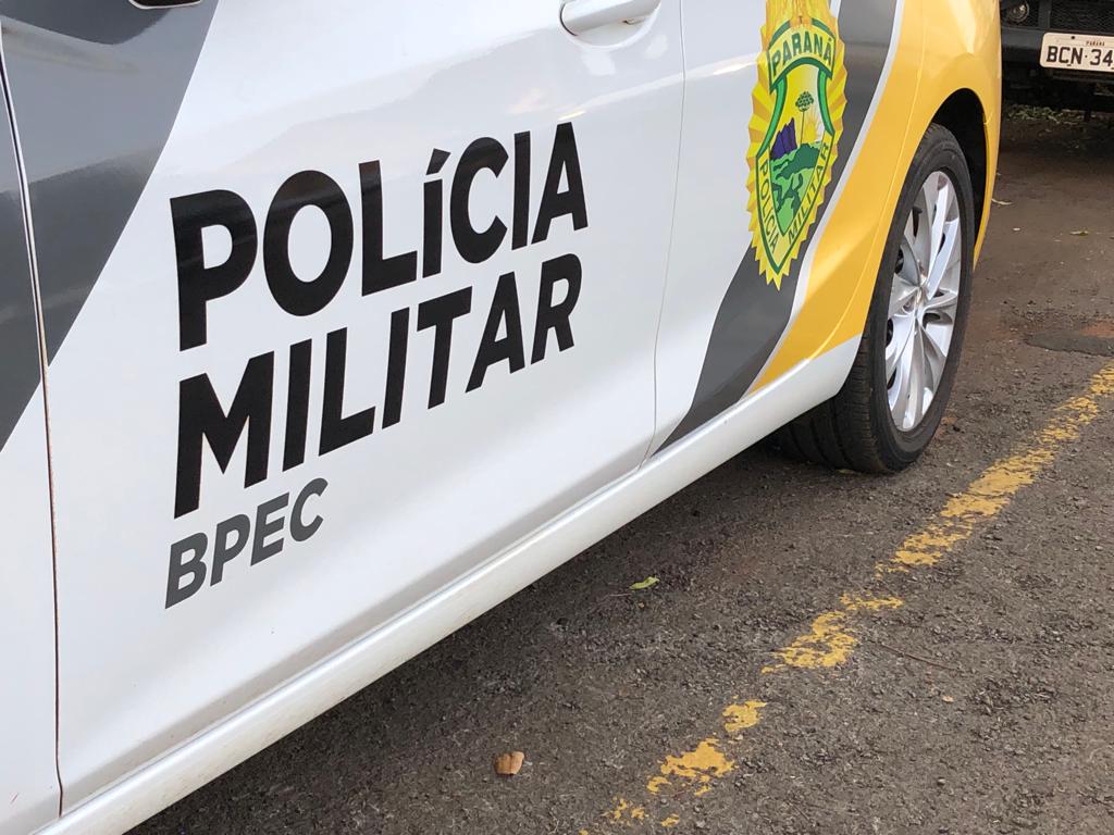 Cadela Pinscher é furtada em Pato Bragado