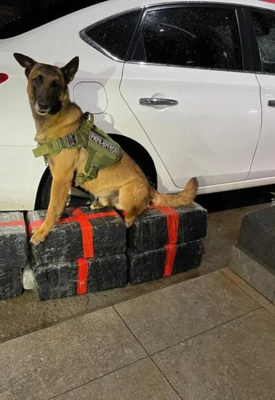 Após tentativa de abordagem em Mal Rondon, BPFron prende traficante em Vila Nova