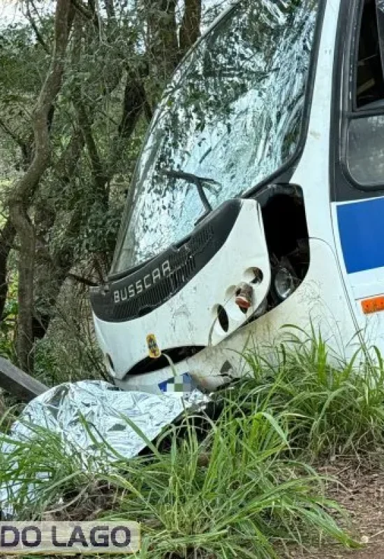 Colisão frontal entre moto e ônibus faz vitima fatal