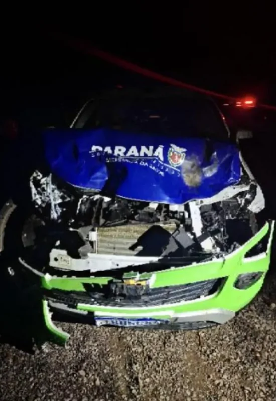 Animais na pista provocam acidente durante a madrugada