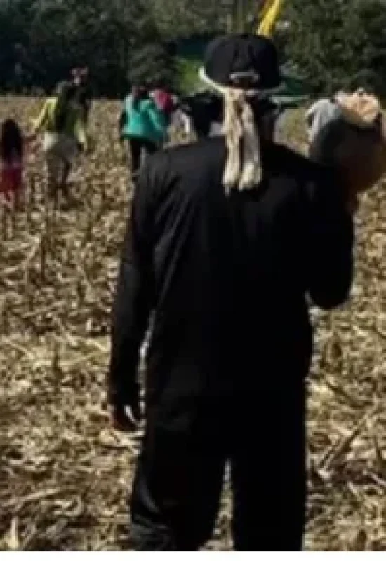 Jovem indígena é morto e decapitado em Guaira