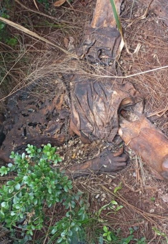 DH de Cascavel divulga imagem de cadáver em decomposição para auxiliar na identificação